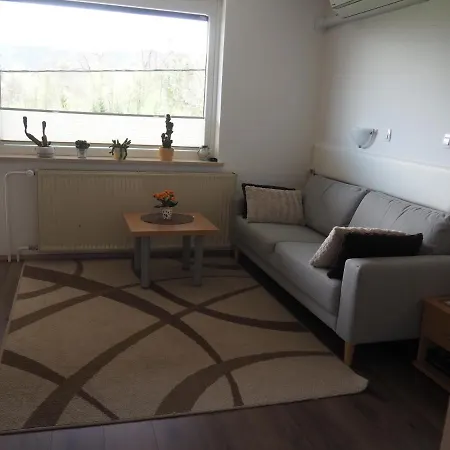 Rooms-apartments Stojanovic Guest house 3*