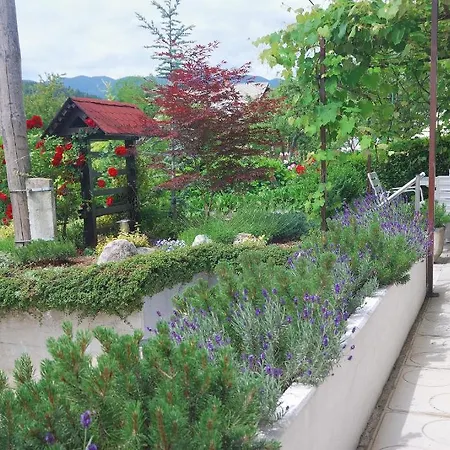 Rooms-apartments Stojanovic Guest house