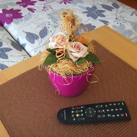 Guest house Rooms-apartments Stojanovic