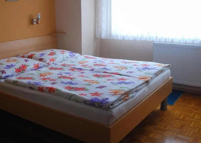 Rooms-apartments Stojanovic 3*